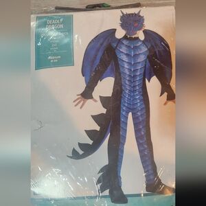 Mystical Blue and Black Dragon Costume for Kids